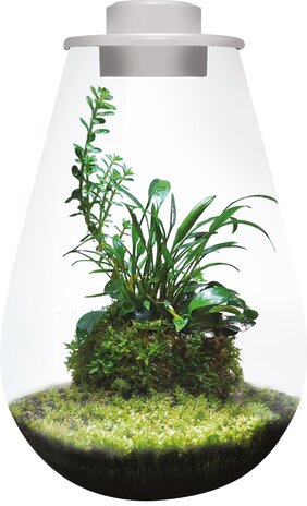 Superfish Bio Art Drop 285 Weiß Superfish Bio Art Drop 285 Weiß