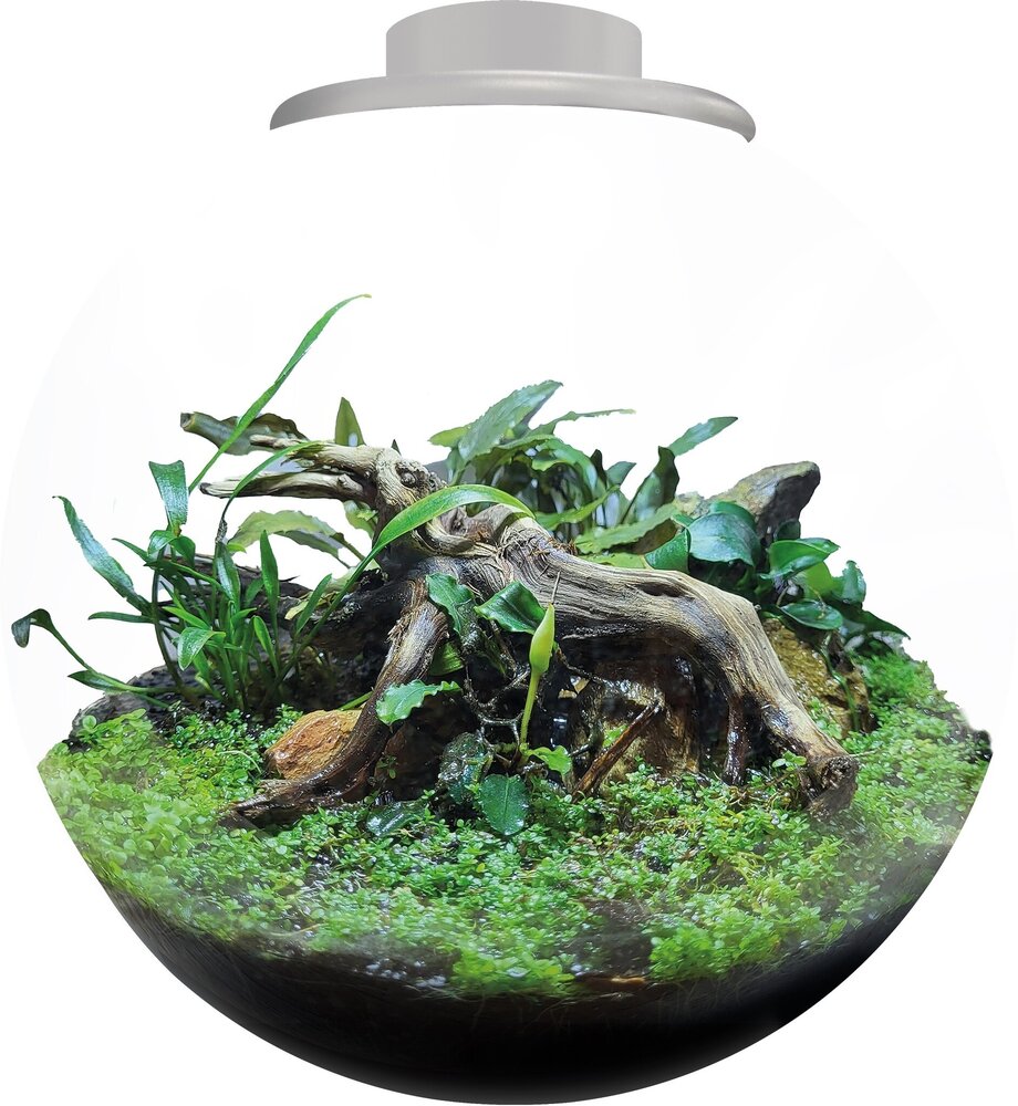 Superfish Bio Art Bowl 225 Weiß Superfish Bio Art Bowl 225 Weiß