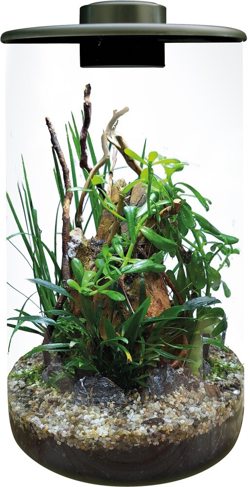 Superfish Bio Art Cylinder 285 Schwarz