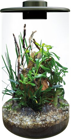 Superfish Bio Art Cylinder 285 Schwarz