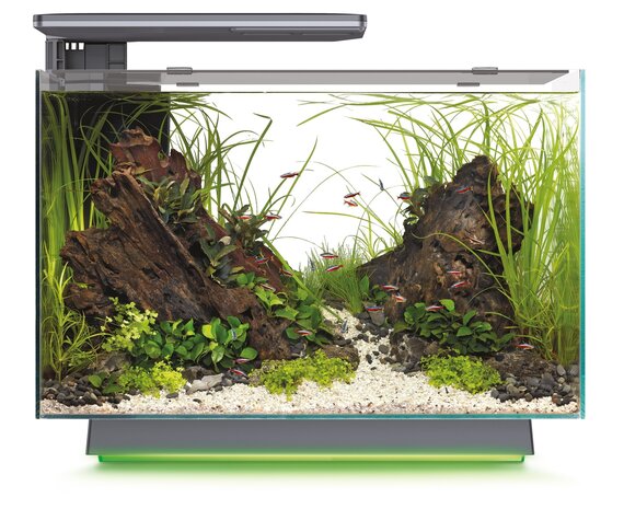 Superfish Quadro 70 Multi Colour Schwarz