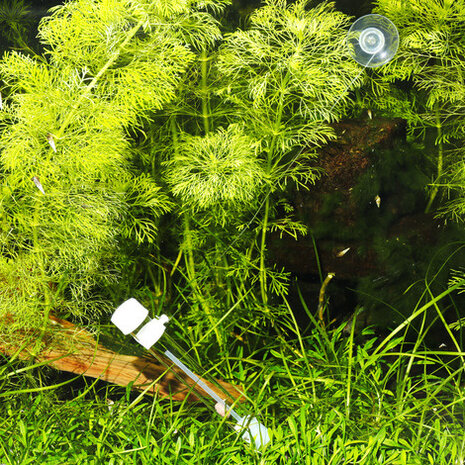 JBL PlaCollect JBL PlaCollect