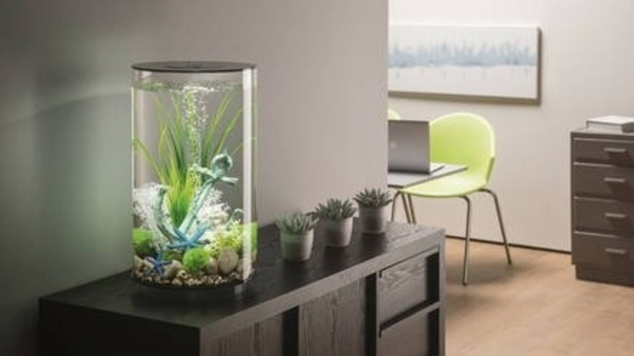 biOrb Tube 30 LED Schwarz