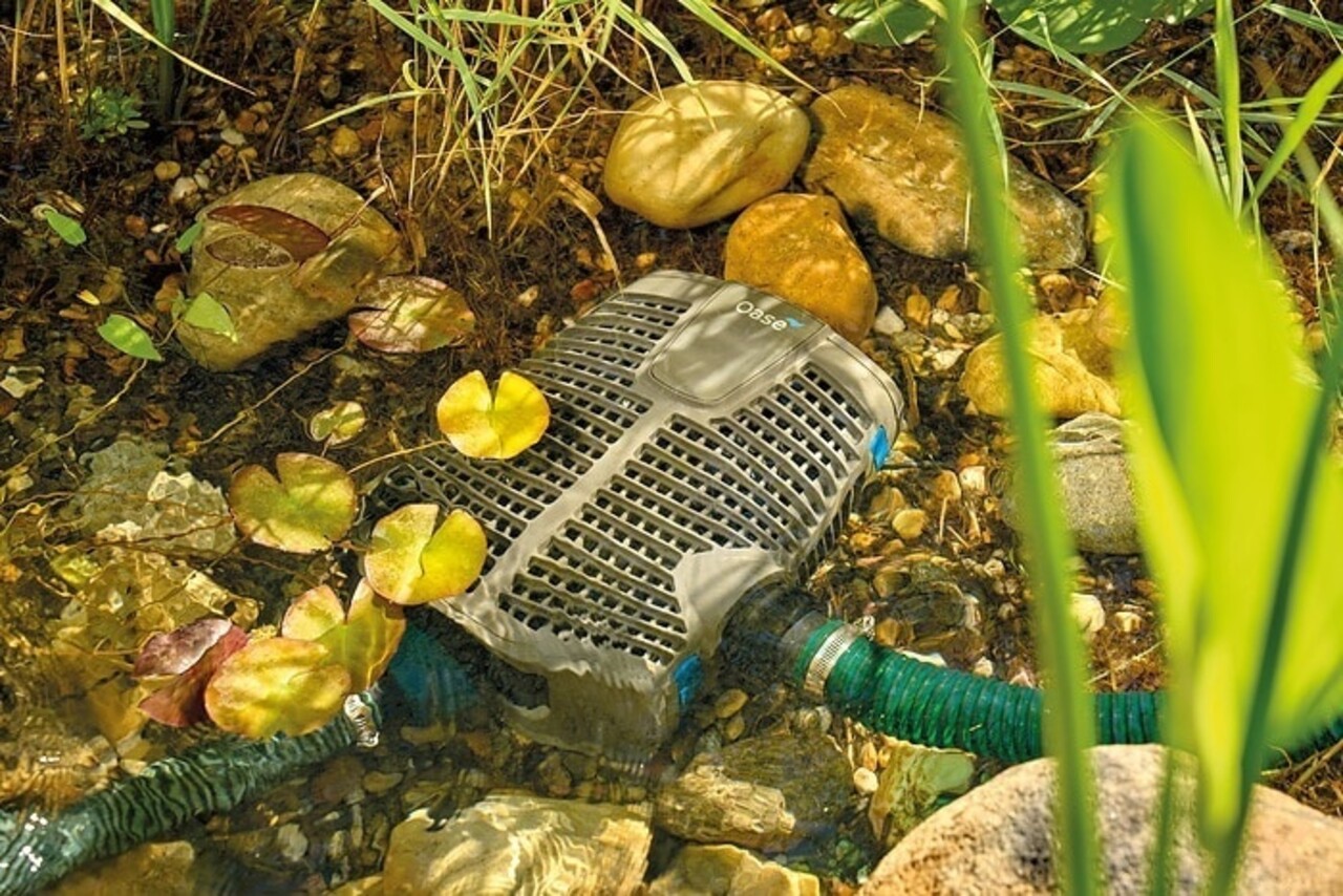 Oase FiltoClear Set 31000 OC