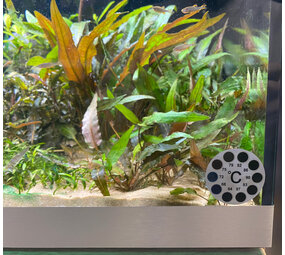 AquastoreXL Plakthermometer 18-36 °C AquastoreXL Plakthermometer 18-36 °C