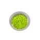 Wasserpflanze Micranthemum Sp. Montecarlo in-vitro Wasserpflanze Micranthemum Sp. Montecarlo in-vitro