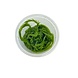 Wasserpflanze Mayaca Fluviatilis in-vitro