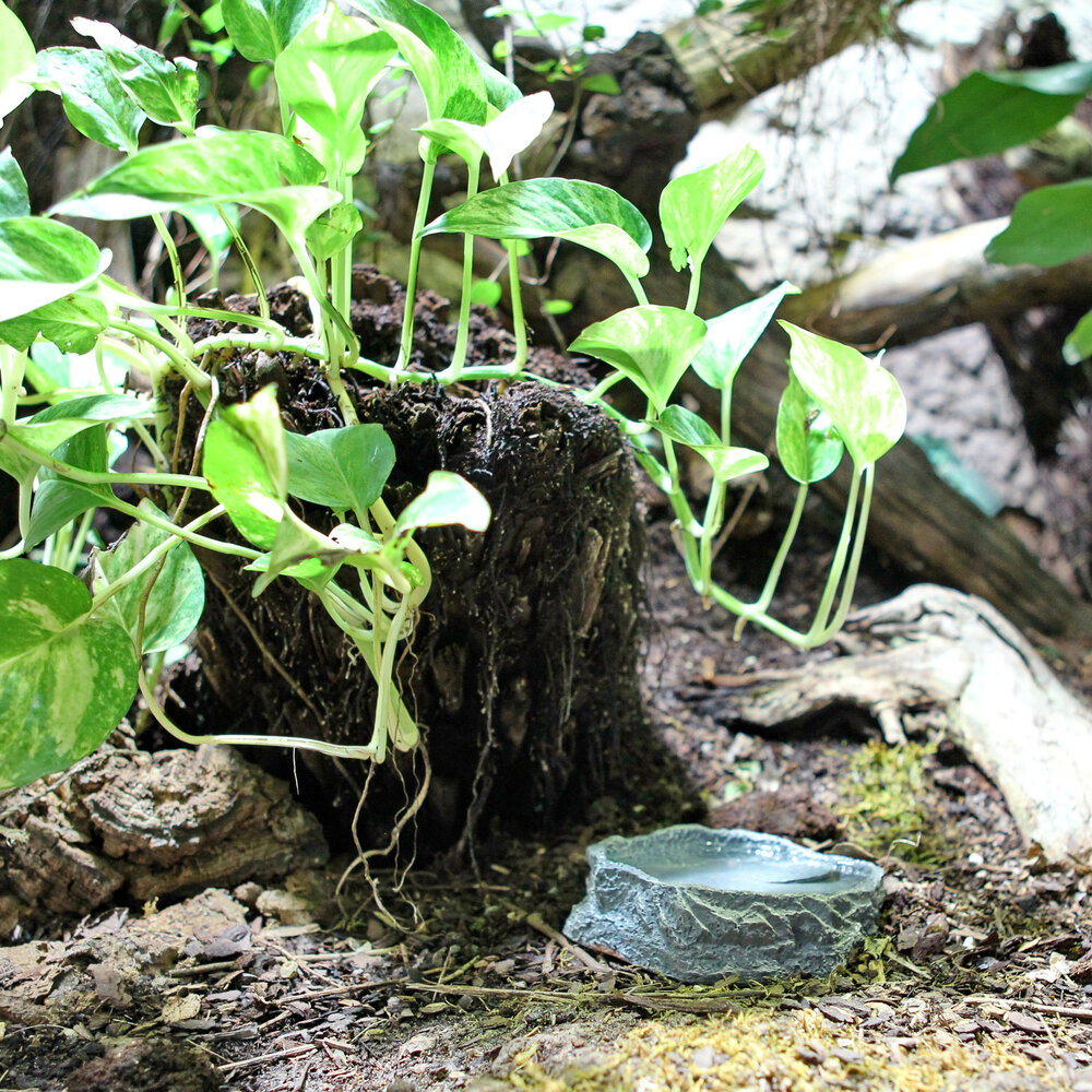 JBL ReptilBar Grau L Wasserschale