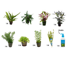 AquastoreXL Pflanzenpaket Large 3 AquastoreXL Pflanzenpaket Large 3