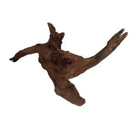 HS Aqua River Wood M 31-40 CM