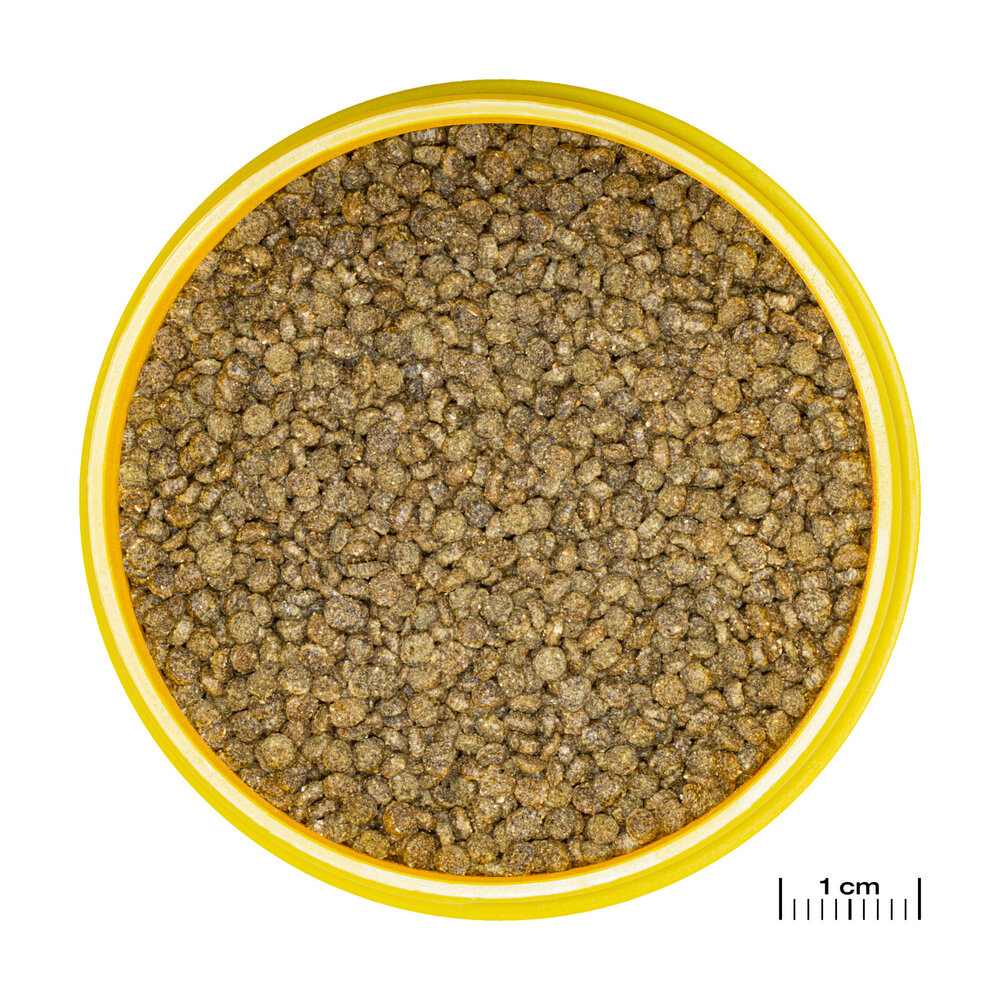 JBL Pronovo Gourami Grano S 250ml Click JBL Pronovo Gourami Grano S 250ml Click