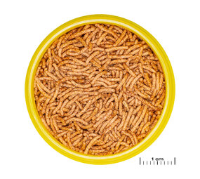 JBL Pronovo Betta Insect Stick S 100ml JBL Pronovo Betta Insect Stick S 100ml