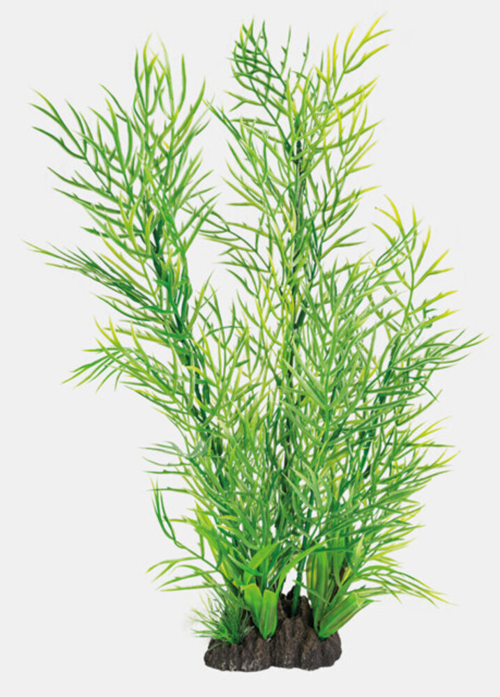 Superfish Art Pflanze 40cm Ceratopteris