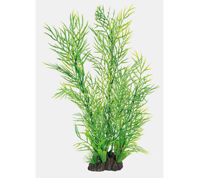 Superfish Art Pflanze 40cm Ceratopteris Superfish Art Pflanze 40cm Ceratopteris