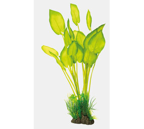 Superfish Art Pflanze 40cm Echinodorus Superfish Art Pflanze 40cm Echinodorus
