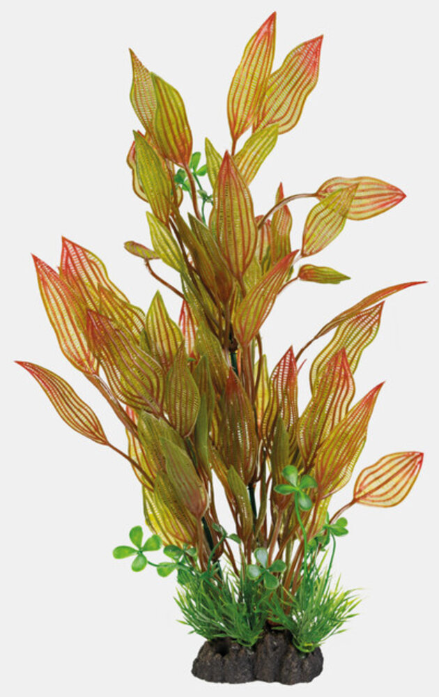 Superfish Art Plant 40cm Henkelianus