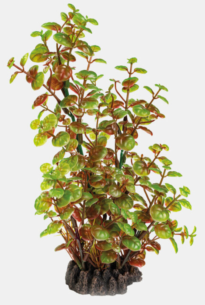 Superfish Art Plant 25cm Rotala Superfish Art Plant 25cm Rotala