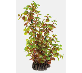 Superfish Art Plant 25cm Rotala