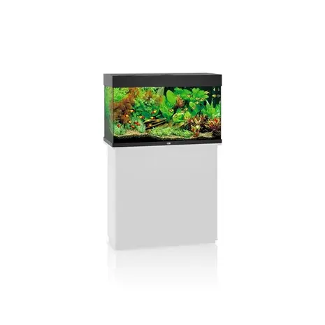 Juwel Aquarium Rio 125 Schwarz LED