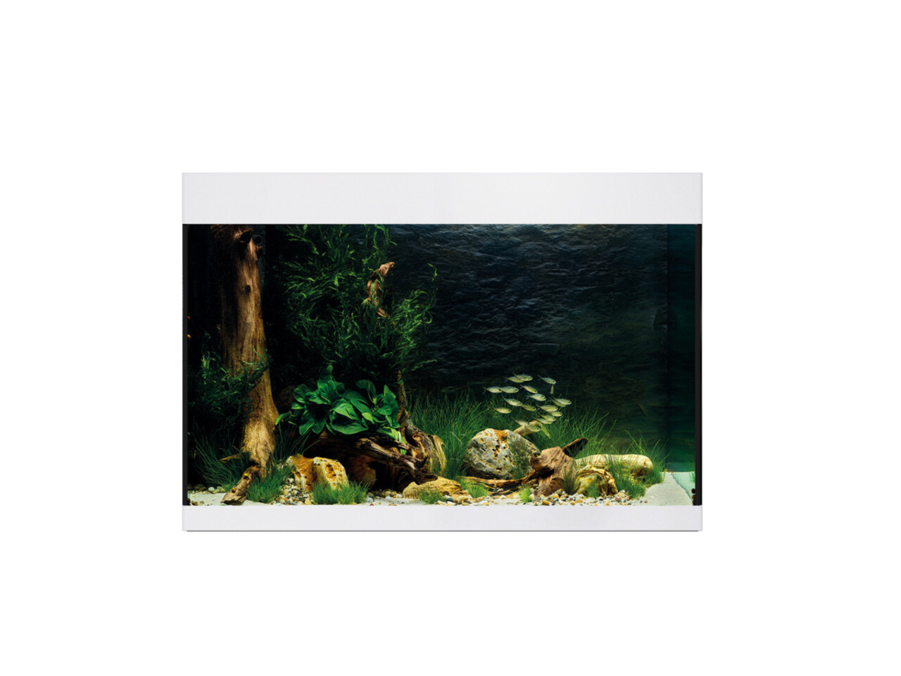 Oase StyleLine 175 Aquarium Weiß Oase StyleLine 175 Aquarium Weiß