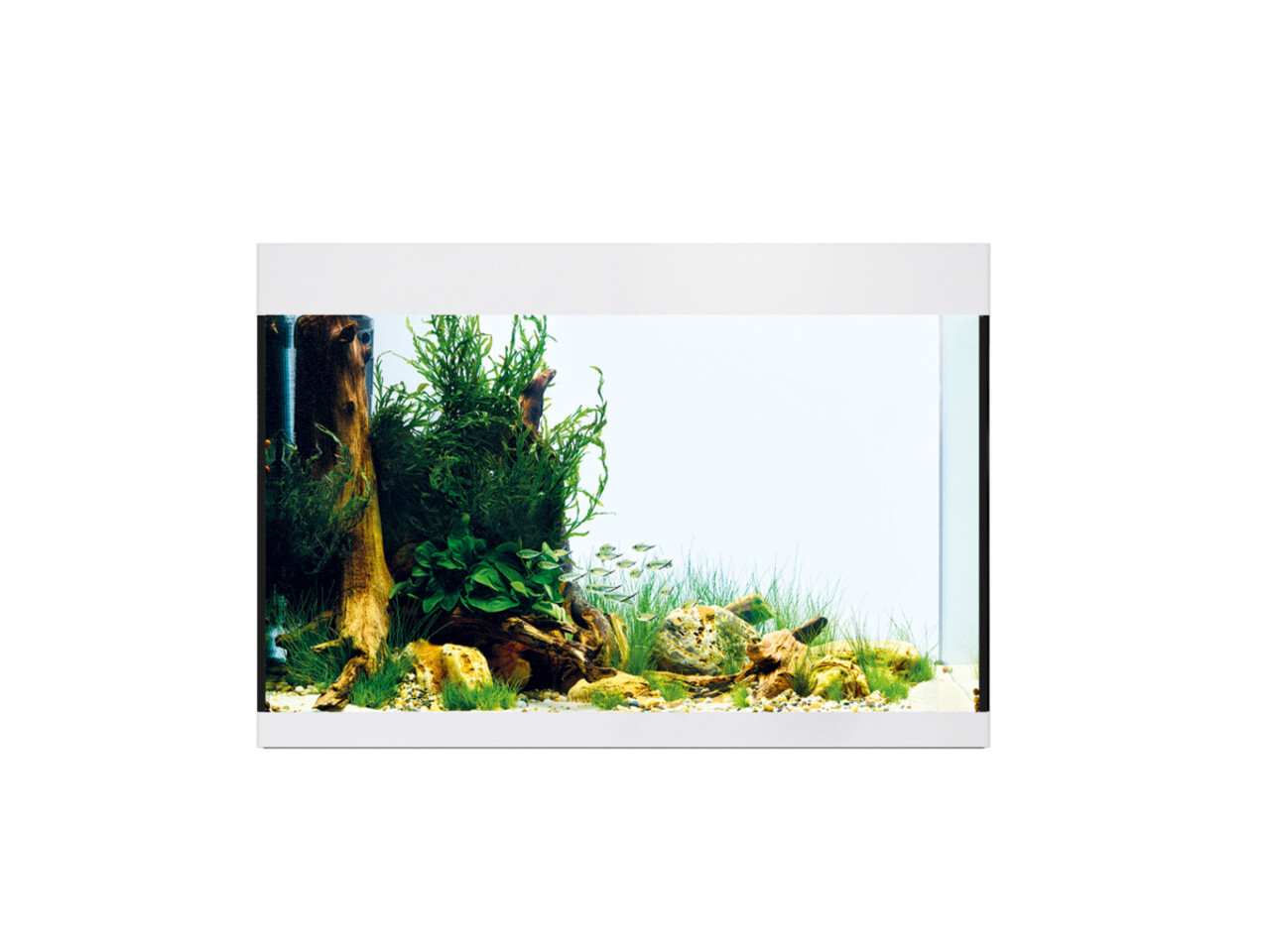 Oase StyleLine 175 Aquarium Weiß Oase StyleLine 175 Aquarium Weiß