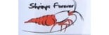 Shrimps Forever Shrimps Forever