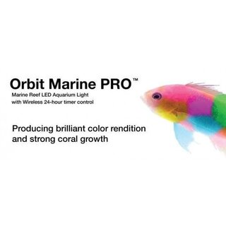 Orbit