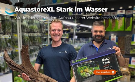 Wir arbeiten im Hintergrund an unserer Website