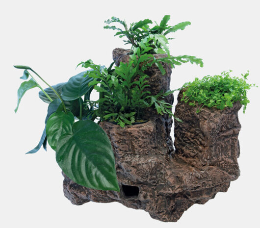 Superfish Scapers Floating Planty L