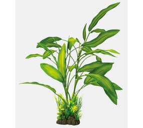 Superfish Art Plant 40cm Cryptocoryne