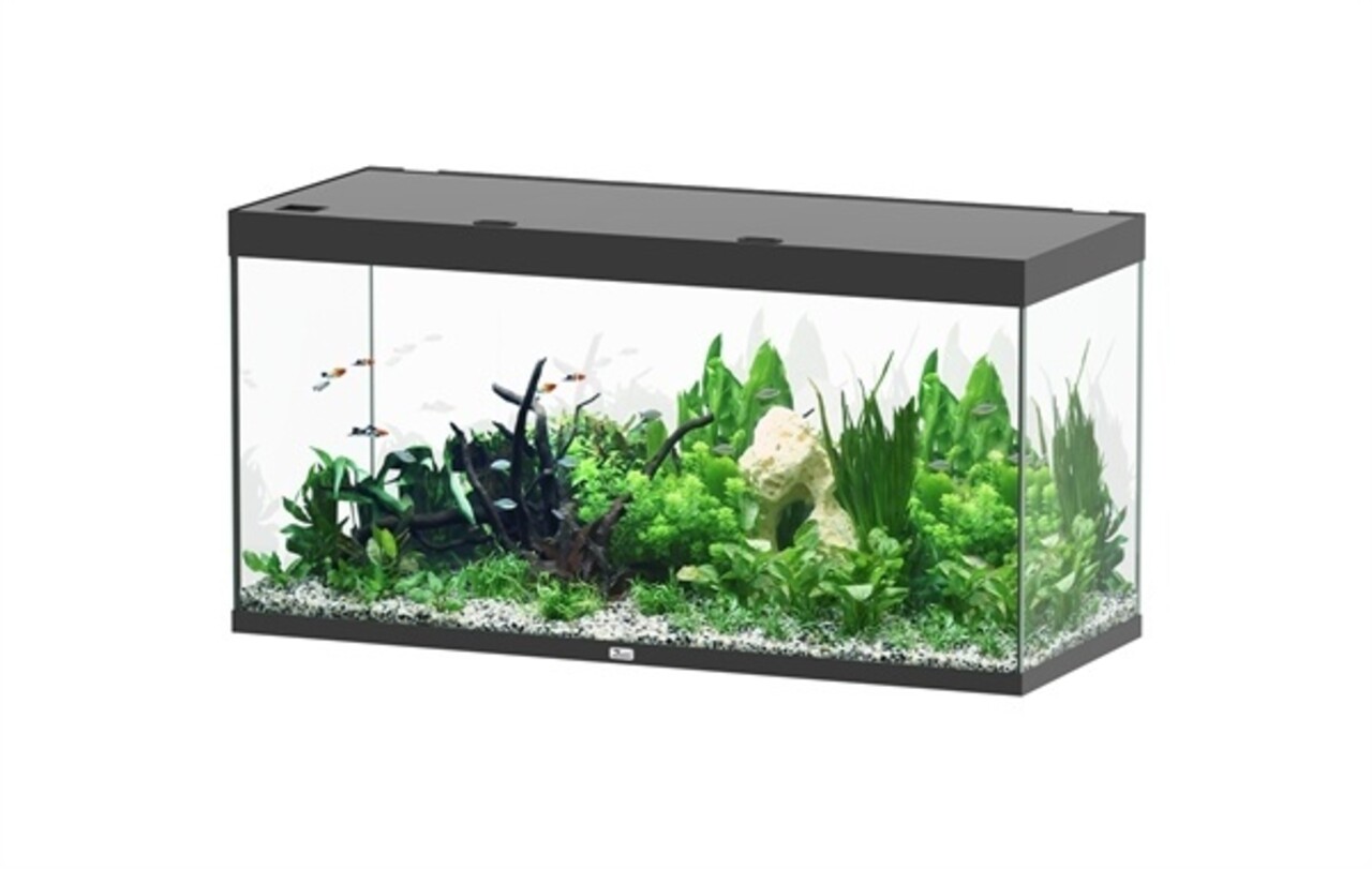 Aquatlantis Sublime 150x60 Aquarium