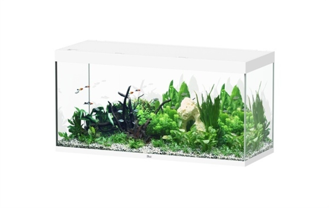 Aquatlantis Sublime 150x60 Aquarium