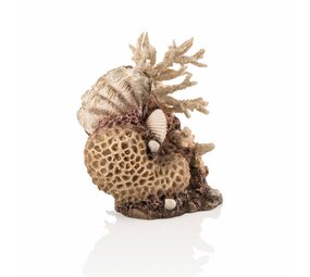 biOrb Korallen & Muscheln Naturel Ornament