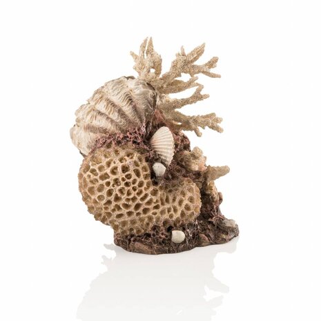 biOrb Korallen & Muscheln Naturel Ornament