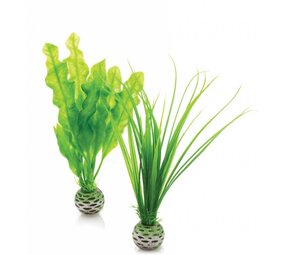 biOrb Easy plants 2x klein grün