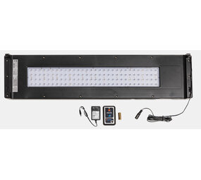 Superfish Home 80/85 Lichtabdeckung + Fernbedienung schwarz