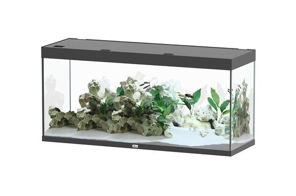 Aquatlantis Sublime 150x50 Aquarium