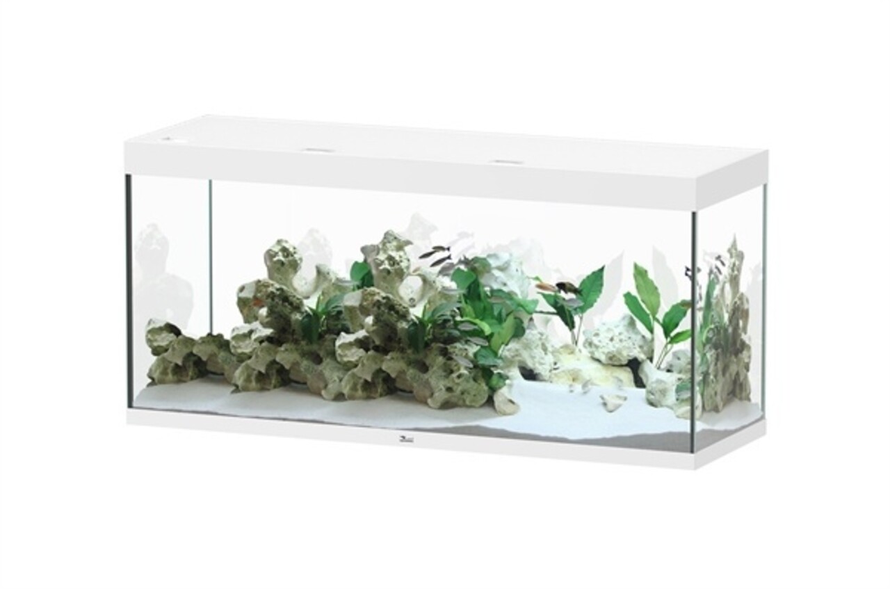 Aquatlantis Sublime 150x50 Aquarium