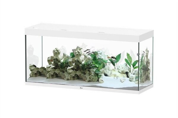 Aquatlantis Sublime 150x50 Aquarium