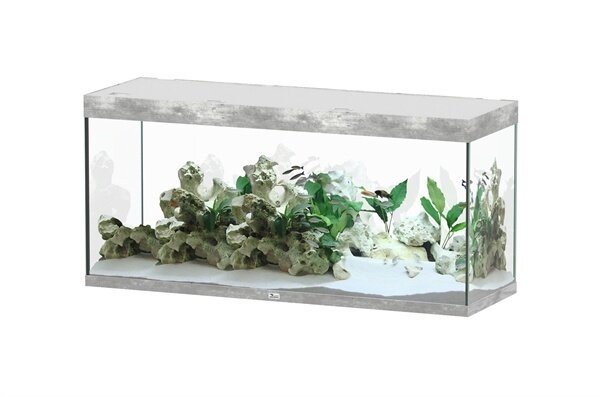 Aquatlantis Sublime 150x50 Aquarium