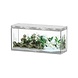 Aquatlantis Sublime 150x50 Aquarium