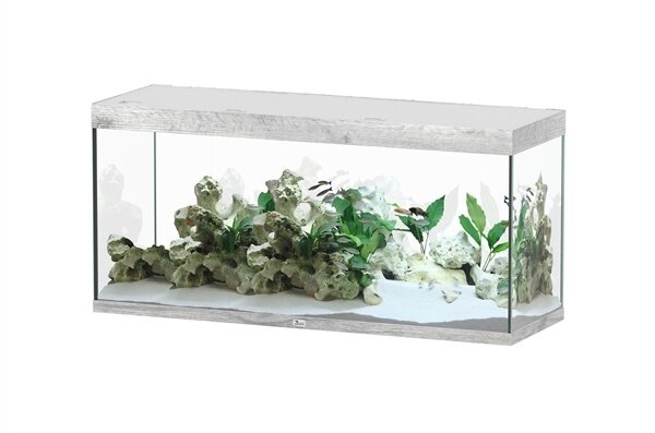 Aquatlantis Sublime 150x50 Aquarium