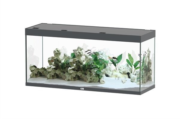 Aquatlantis Sublime 150x50 Aquarium