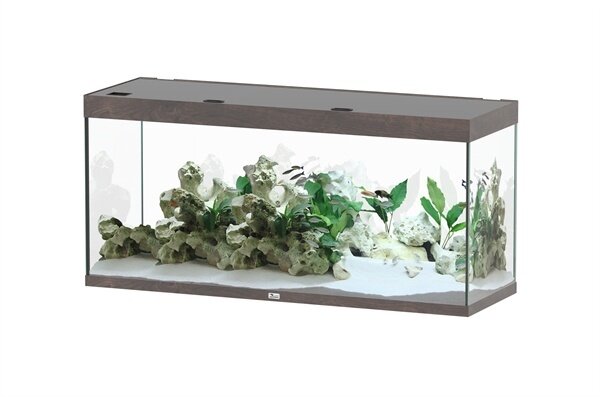 Aquatlantis Sublime 150x50 Aquarium