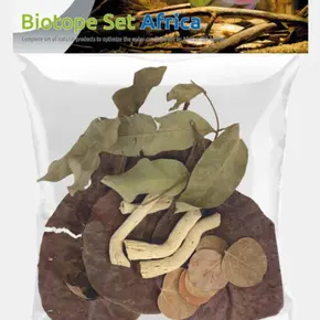 Naturholz & Blätter