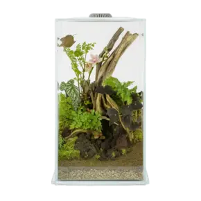 Stelle dein Wabi Kusa zusammen