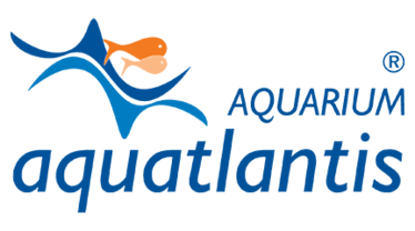 Aquatlantis