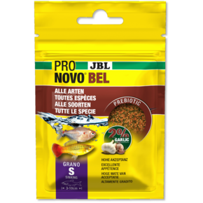 Guppys & Lebendgebärende