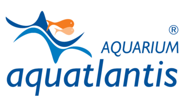 Aquatlantis