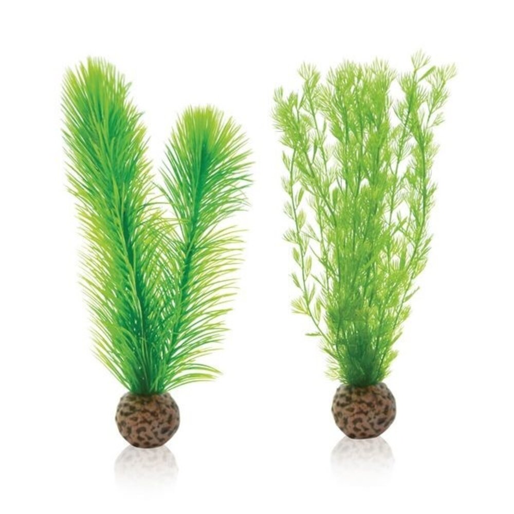 biOrb Green Feather Fern